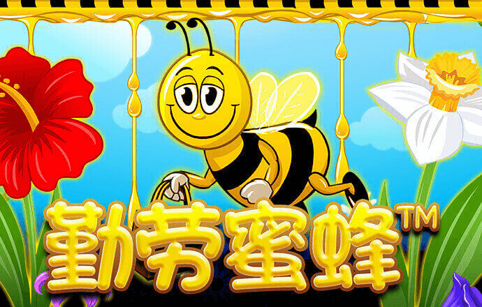 pg电子体育app下载